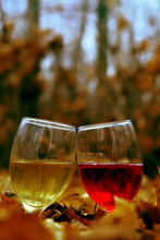 Pair Of Glass Wine Glasses With White Red Wine Drink With Reflection Of Landscape In Liquid Between Autumn Fallen Leaves Stand Behind Each Other On The Dark Blurred Autumn Background. Vertical Frame