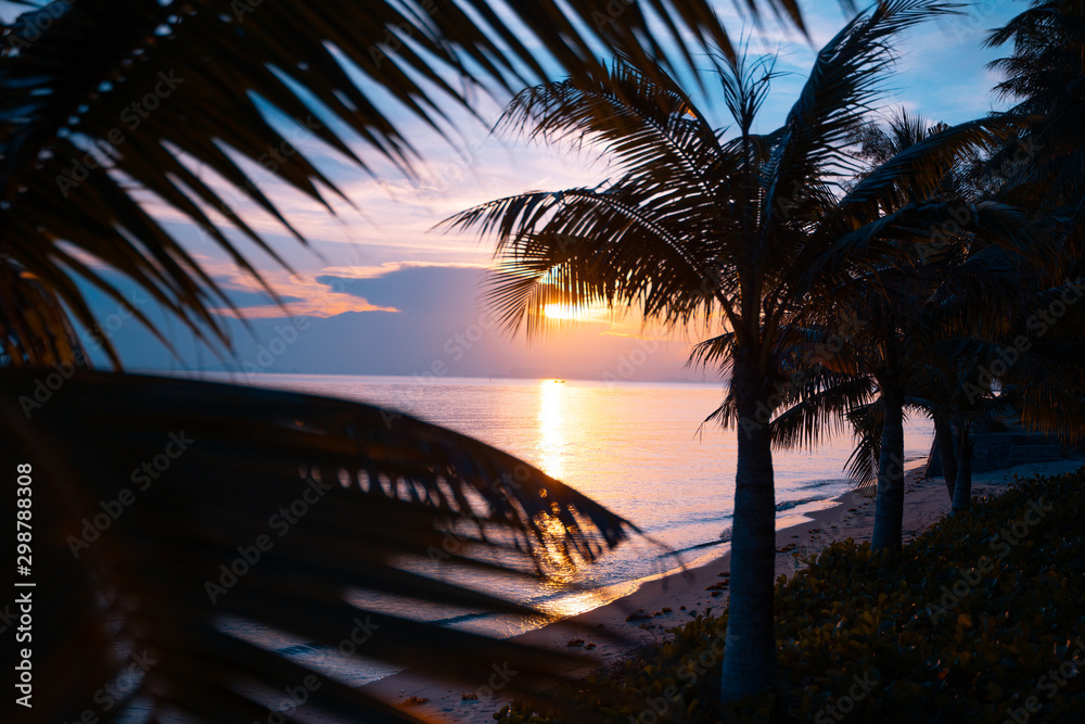 Bright colorful sunset on the shore of a tropical sea, silhouettes of palm trees against the sky, tropical paradise - obrazy, fototapety, plakaty 