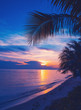 Bright colorful sunset on the shore of a tropical sea, silhouettes of palm trees against the sky, tropical paradise