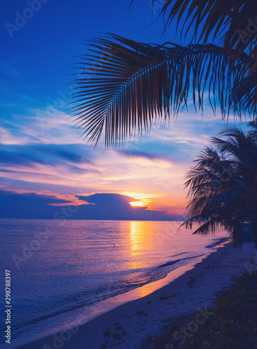 Motiv-Rollo - Bright colorful sunset on the shore of a tropical sea, silhouettes of palm trees against the sky, tropical paradise (von olezzo)