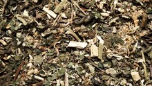 Green Dried Mix Herbs Background. Top View. Alternative Herbal Medicine