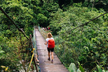 a woman with a daypack and walking sticks is hiking through the dense rainforest of the sierra nevad