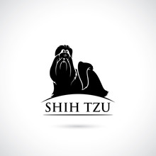 Shih Tzu Dog - Isolated Vector Illustration