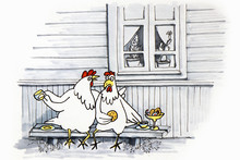 Two Chickens Sit On A Bench In The Village In Front Of The Window And Eat Food.Street Gatherings.