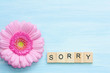 Word sorry and flower on a blue background.