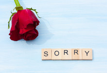 Word Sorry And Flower On A Blue Background.