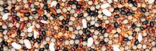 Header, Colorful Legumes Mixture, Lentils, Beans And Peas
