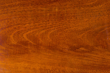 Wooden texture background. Abstract texture