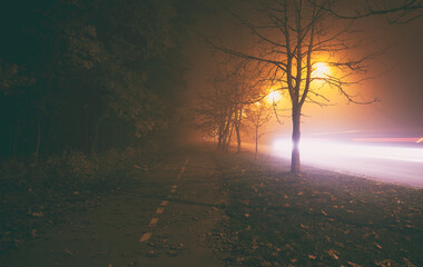 Sticker - The foggy evening in the autumn park