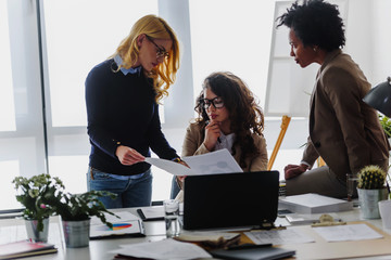 Wall Mural - Women only business office. Woman entrepreneur. Diverse business team discussing work in their creative office.