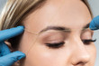 © artem_goncharov - Cosmetologist plucks client eyebrows by thread
