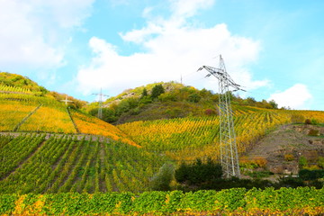 Poster - Weinberge an der Terassenmosel im Herbst