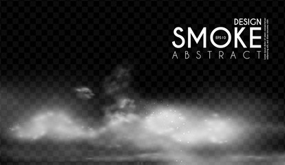 Canvas Print - Fog, mist and smoke steam clouds. Transparent effect. Depth design.