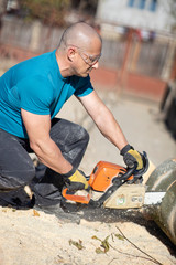 Canvas Print - Man cut with saw. Dust and movements. Woodcutter saws tree with chainsaw on sawmill. lumberjack