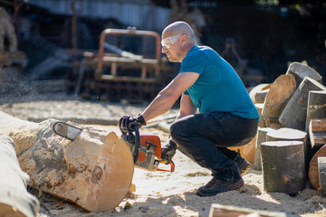 Sticker - Man cut with saw. Dust and movements. Woodcutter saws tree with chainsaw on sawmill. lumberjack