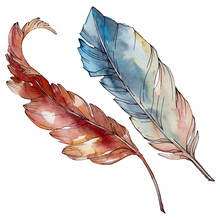 Colorful Bird Feather From Wing Isolated. Watercolor Background Set. Isolated Feathers Illustration Element.
