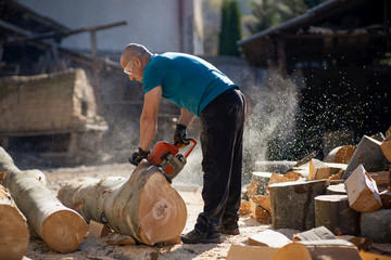 Sticker - Man cut with saw. Dust and movements. Woodcutter saws tree with chainsaw on sawmill. lumberjack