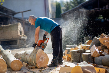 Wall Mural - Man cut with saw. Dust and movements. Woodcutter saws tree with chainsaw on sawmill. lumberjack