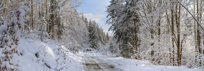 Wall Mural - Winter landscape, panorama, banner - view of the snowy road in the winter mountain forest