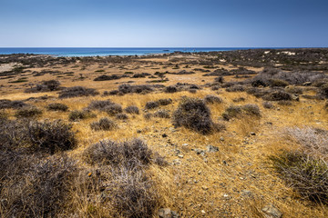 Chrissy island scenery on a sunny summer day with dry trees, brown soil and blue clear sky with haze.