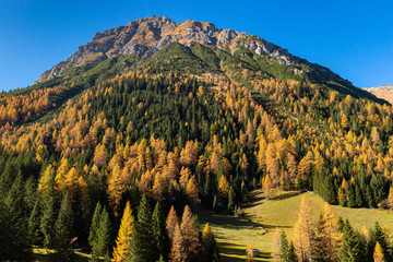 Autumn colours scenic in the Austrian Alps. Fall mountain landscape.