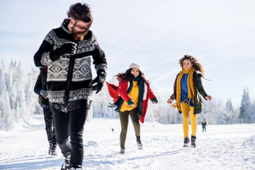 Group of young friends on a walk outdoors in snow in winter forest, having fun.