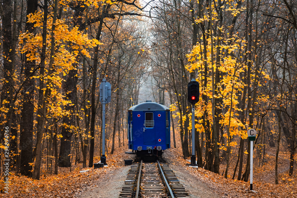 Railroad single track through the woods in autumn. Fall landscape. red ...