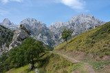 Fototapeta Kuchnia - Mountain area overlooking the natural park of the Picos de Europa