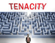 Tenacity can be hard to get - pictured as a word Tenacity and a maze to symbolize that there is a long and difficult path to achieve and reach Tenacity, 3d illustration