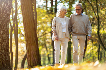 Wall Mural - Happy senior couple in autumn park