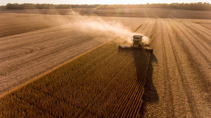 farmer harvesting soybeans in midwest