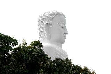 white Buddha statue isolated on a isolated background