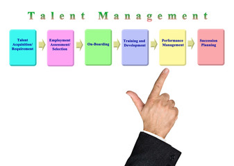 Sticker - Presenting Components of Talent Management