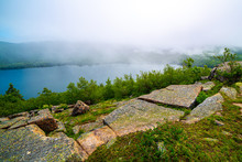 Fog Settling Over Eagle Lake In Acadia National Park, Maine