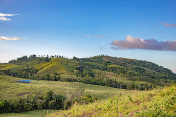 Orocovis, Puerto Rico countryside. Campos de Orocovis en Puerto Rico.