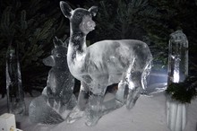 Ice Sculptures 