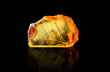 Amazing piece of Baltic amber containing part of an ancient fossilized dragonfly. Photo with reflection, isolated on black background.