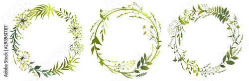 Fotomural Set of circle floral frame meadow herbs