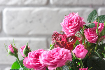 Wall Mural - Natural pure rose oil or scented water in bottles for spa, skin care or aromatherapy. Glass bottle on a wooden table, small pink roses with leaves. Organic cosmetics concept.