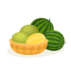 Wall Mural - Cartoon melons in basket and watermelons isolated on white