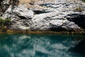 Poster - reflection of trees in water