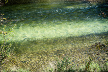 Upper Bavaria, Isarauen National Park - Isar River Clear Blue  And Green Waters Running In Protected Environment, Nature Backgronund