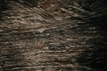 Dark Brown grey wood texture natural tree background