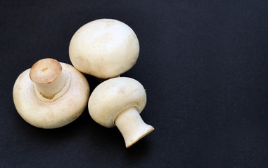 Poster - Fresh raw champignon on dark background