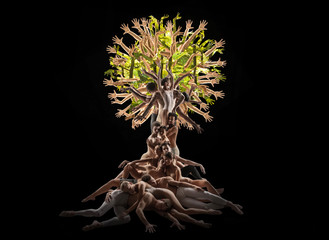 The group of modern ballet dancers like a tree. Contemporary art ballet. Young flexible athletic people in tights. Copyspace. Concept of dance grace, inspiration, creativity. Made of shots of 11