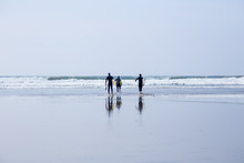 Surfers, Carrying Surfboards, Walking Into The Sea In Cornwall, UK
