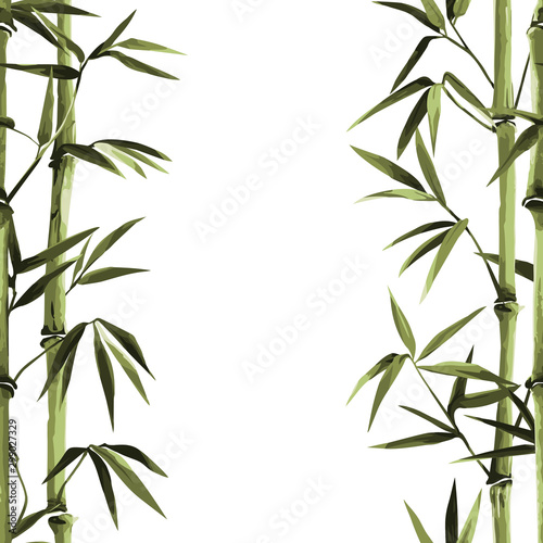 Dekoracja na wymiar  bambusowa-bezszwowa-pionowa-granica-na-bialym-tle