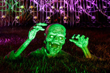 Skull And Forearms Rising From The Grave. Halloween Decoration Outside A Front Yard Illuminated In Green And Purple.
