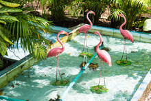 The Flamingo Bird Sculpture Used To Decorate The Garden.