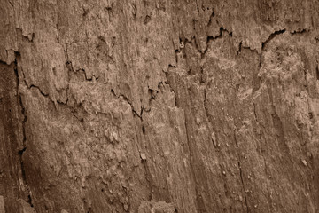 Wall Mural - broken wood texture for background